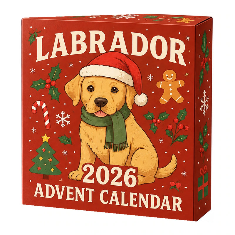 Labrador Advent Calendar — gift set