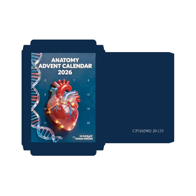 Heart Anatomy Advent Calendar — gift set
